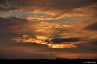 /album/photo-gallery-silhouette/a1-7-jpg2/